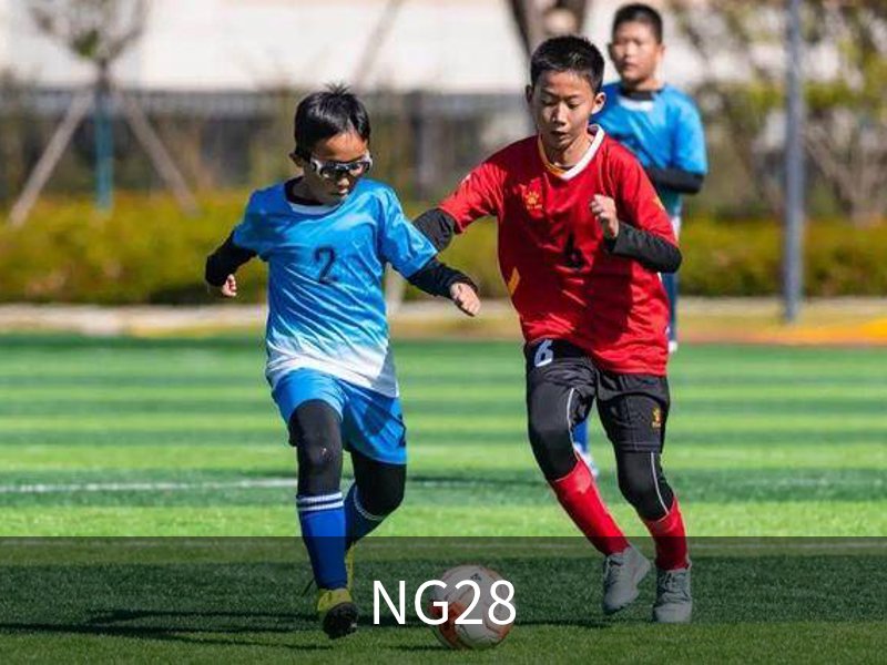 关于NG28